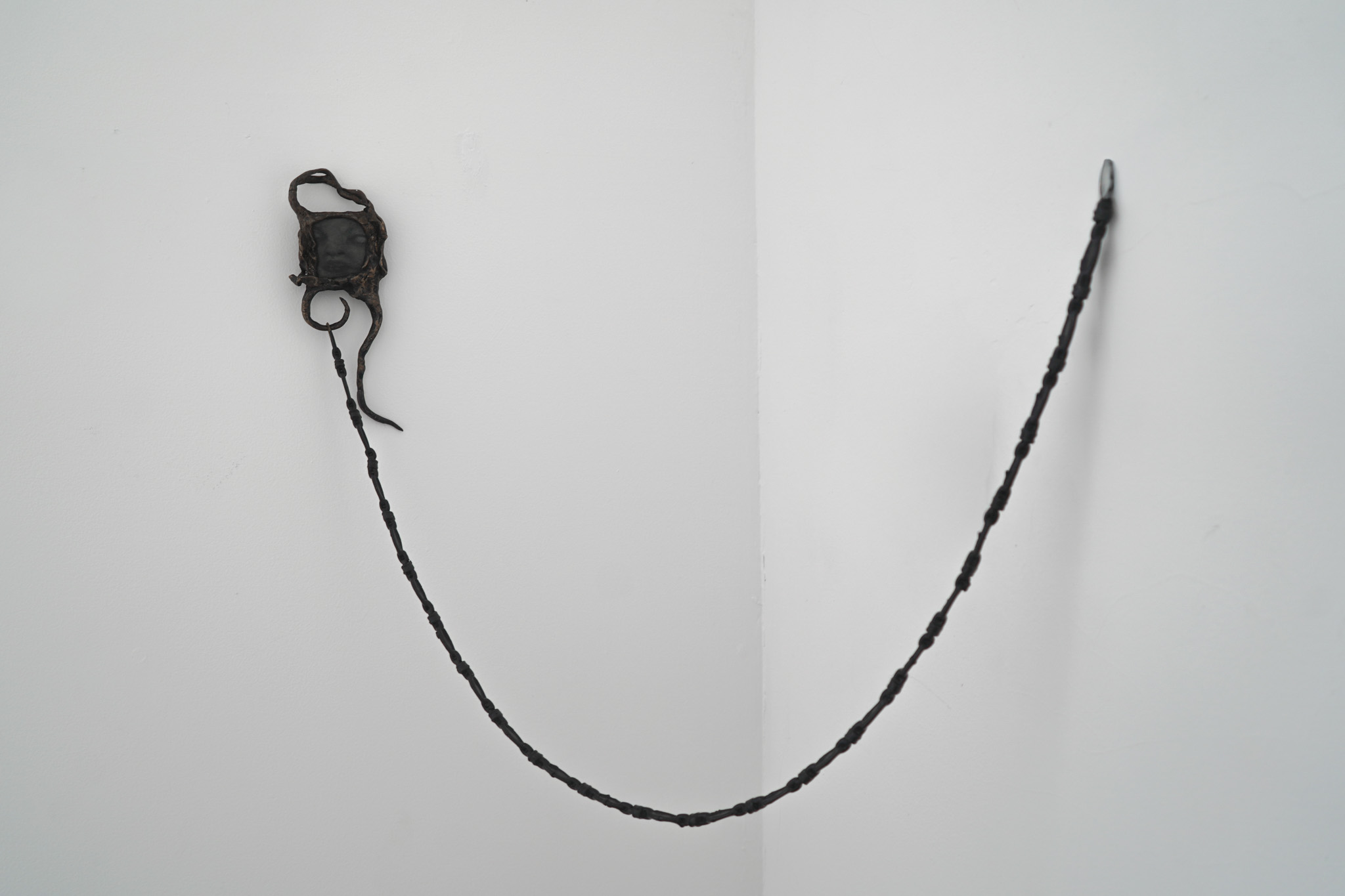 Opilione, installation view