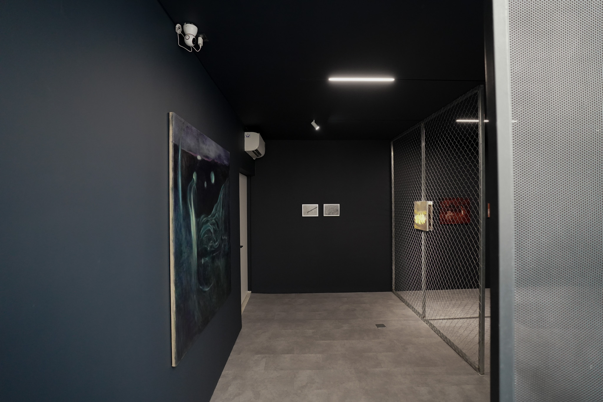 Witness, exhibition view at ara contemporary