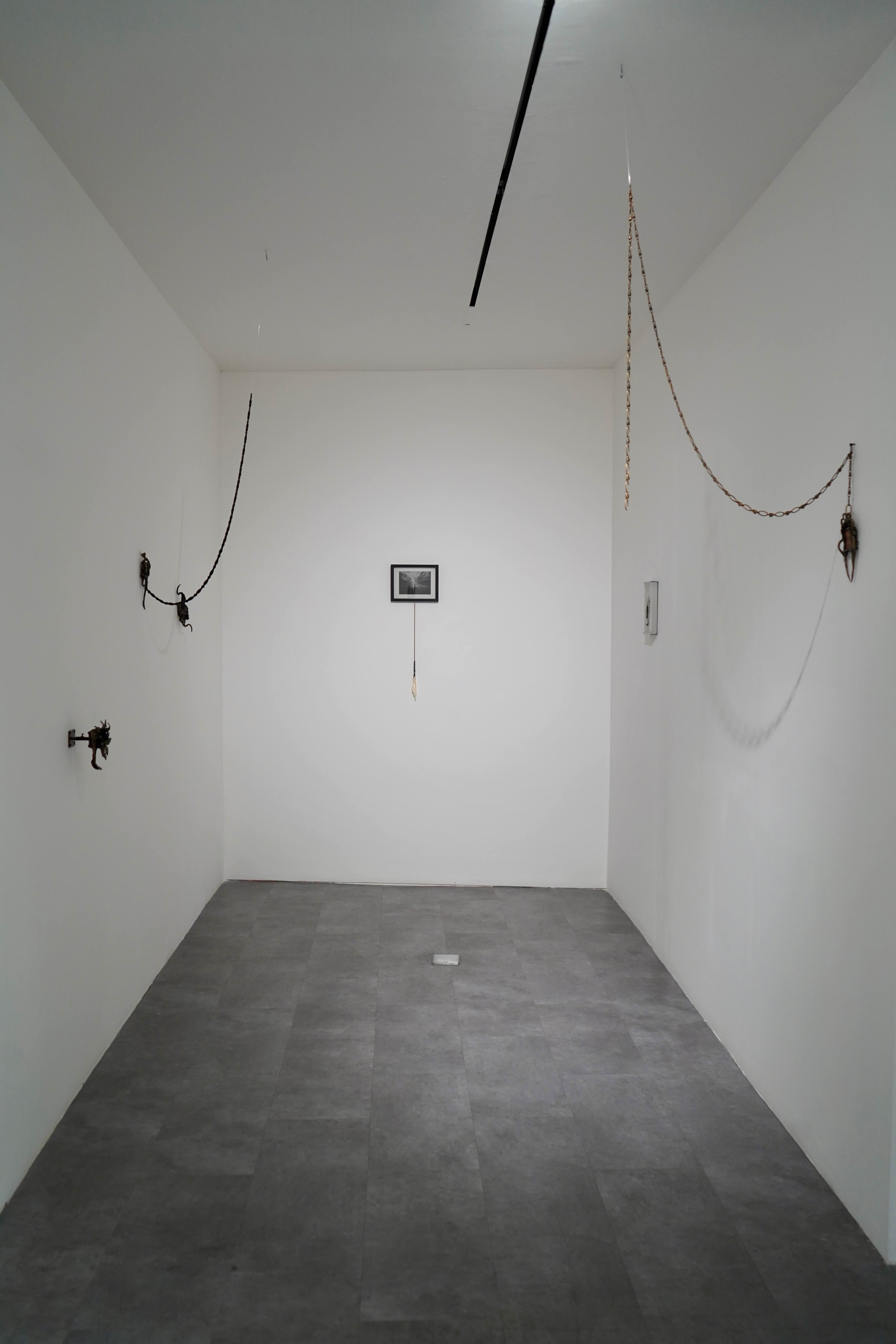 Trinkets philosophy, exhibition view at ara contemporary